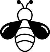 feature-image